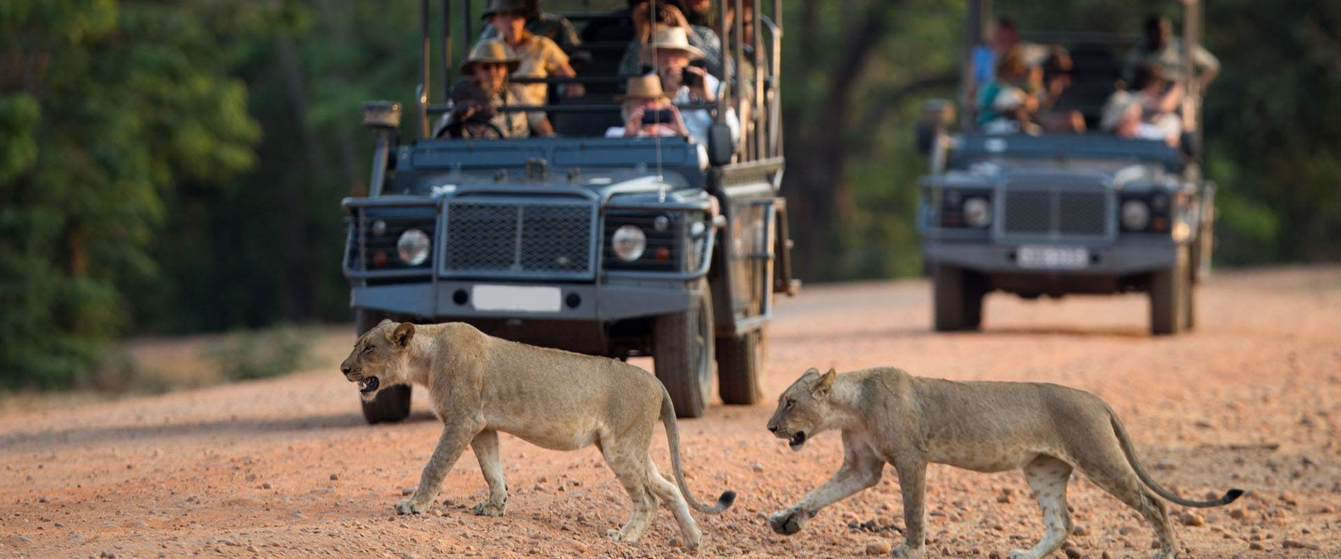 3 Days Experieence Adventure Safari To Tanzania