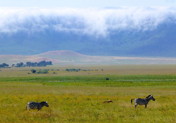 Ngorongoro Crater