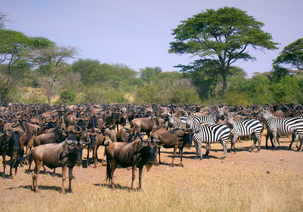 Serengeti National Park