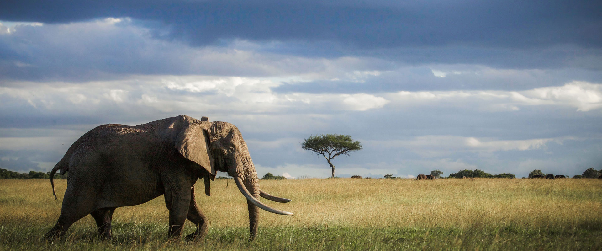 Tanzania Destinations